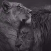 farsbn.18