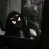 love.ko.siya66