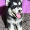 lamorenita.com650