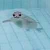 secretspaceseal
