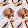 itsme.t1kka4