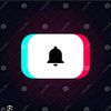 notificacin2113