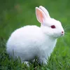 nguyn.van.anh188