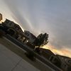 .jahamash8