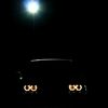bmw91661
