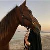 _fatmaa728