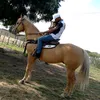 robertolima15238