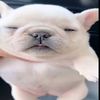 christopher_6990