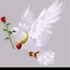 user59723713587523