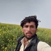 alibaz1173