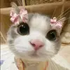 .thyy.tieen