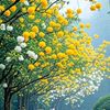 qasiar.abbas689
