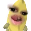 elpdms