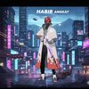 habib.angkat3