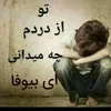 ahmad.shikeb0