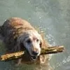 ursulakempin