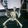 user902040458