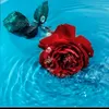 aymn.abbas