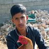 raja_abbas_sandal_333