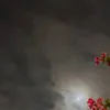 amjo_3330