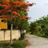 tranhoang.phuc18th3