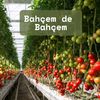 Bahçem de Bahçem