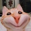 myatmxofip6