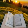 backtoallah869