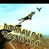 abdelahimid