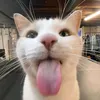 thupinkieee