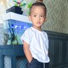 altezza.ariqin.at