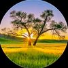 mdmoshiurrahman5373
