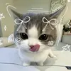 lilian.rowold1
