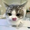 shaa_yapping14