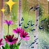 sadra.a.salimi