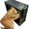 catfixingpc