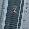 emil_sfn