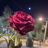 hamoudisy22