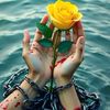 rahmatalikhan.3113