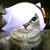 sn.rom7