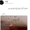 sehar0484