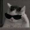 peet88806