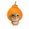 tienphats11