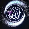 user2877022354781