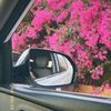 mariam.mohd14
