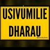 user8613911481767