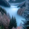 luki12227