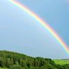 rainbowswirls9765