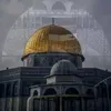 om.mahmoud3313