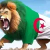 mouhamed.momoha